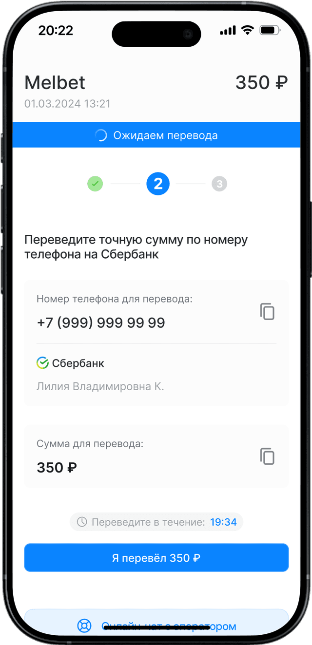 iPhone checkout interface